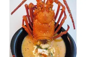 sopa