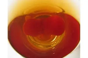 cóctel