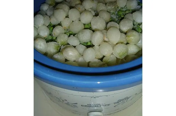 Fletán en salsa de vino