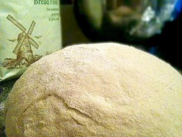 Masa básica de pizza casera