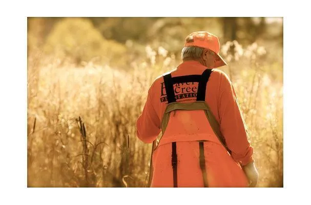 Codorniz de plantación