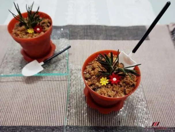 Salted Caramel Potted Plant Ice Cream