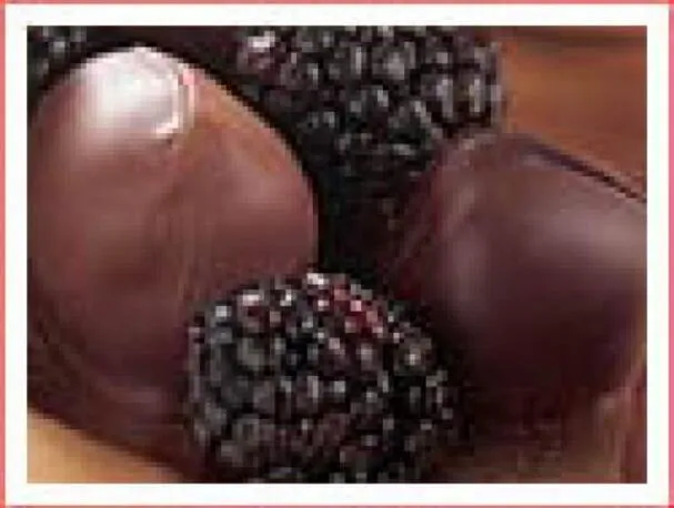 Xocai Chocolate Oscuro Bañado en Zarzamoras