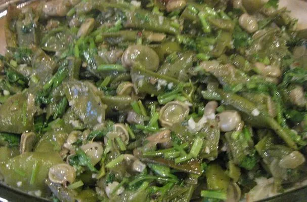Habas con aceite- فول أخضر بالزيت
