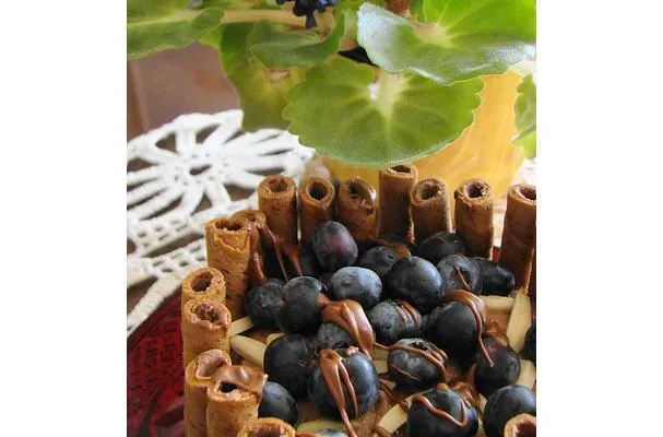 Sorbete de chocolate